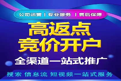 竞价广告的创意与执行：一则经典案例剖析